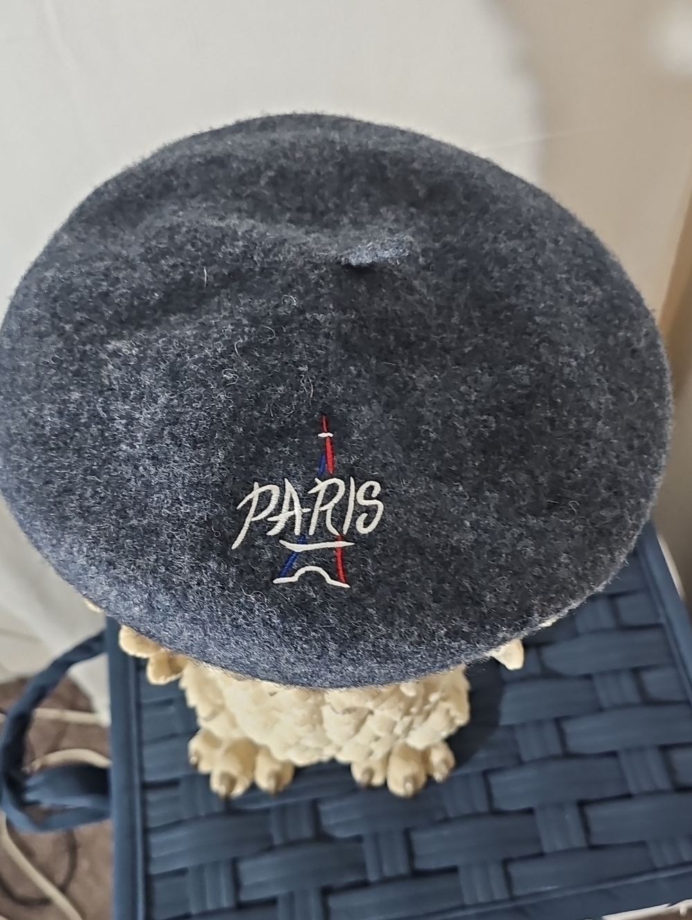 Paris Embroidered Wool Beret - Charcoal